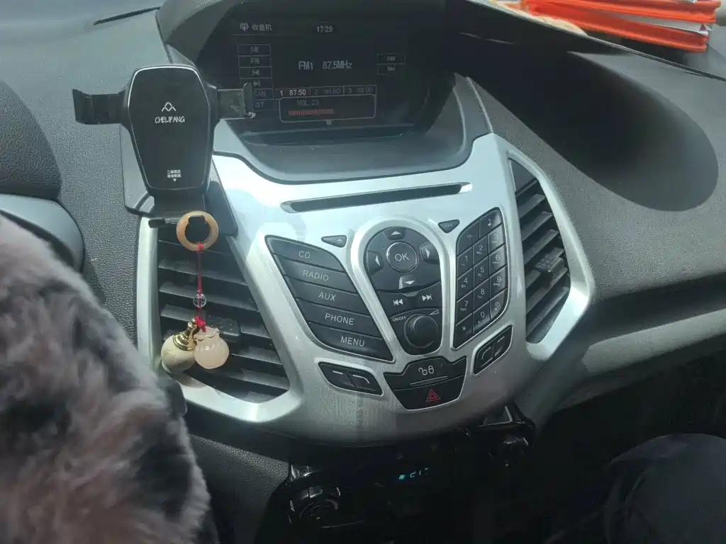 Ford EcoSport 2015 — фото 14
