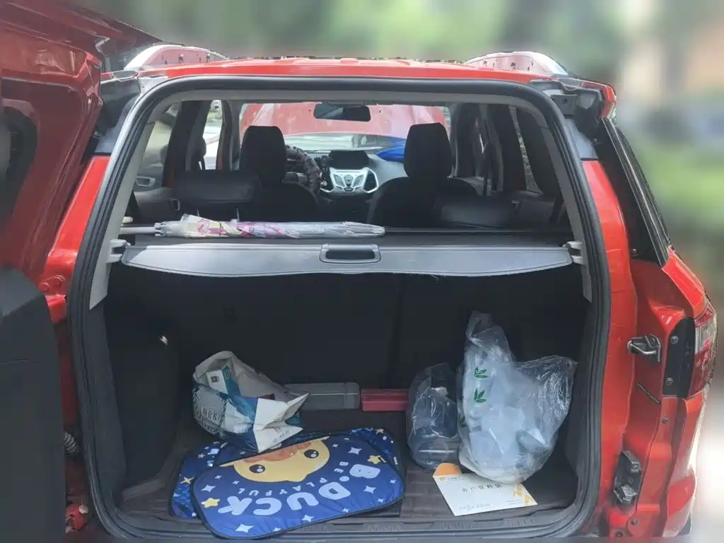 Ford EcoSport 2015 — фото 20
