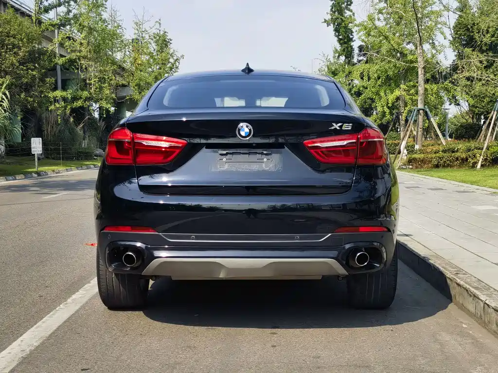 BMW X6 2017 — фото 5