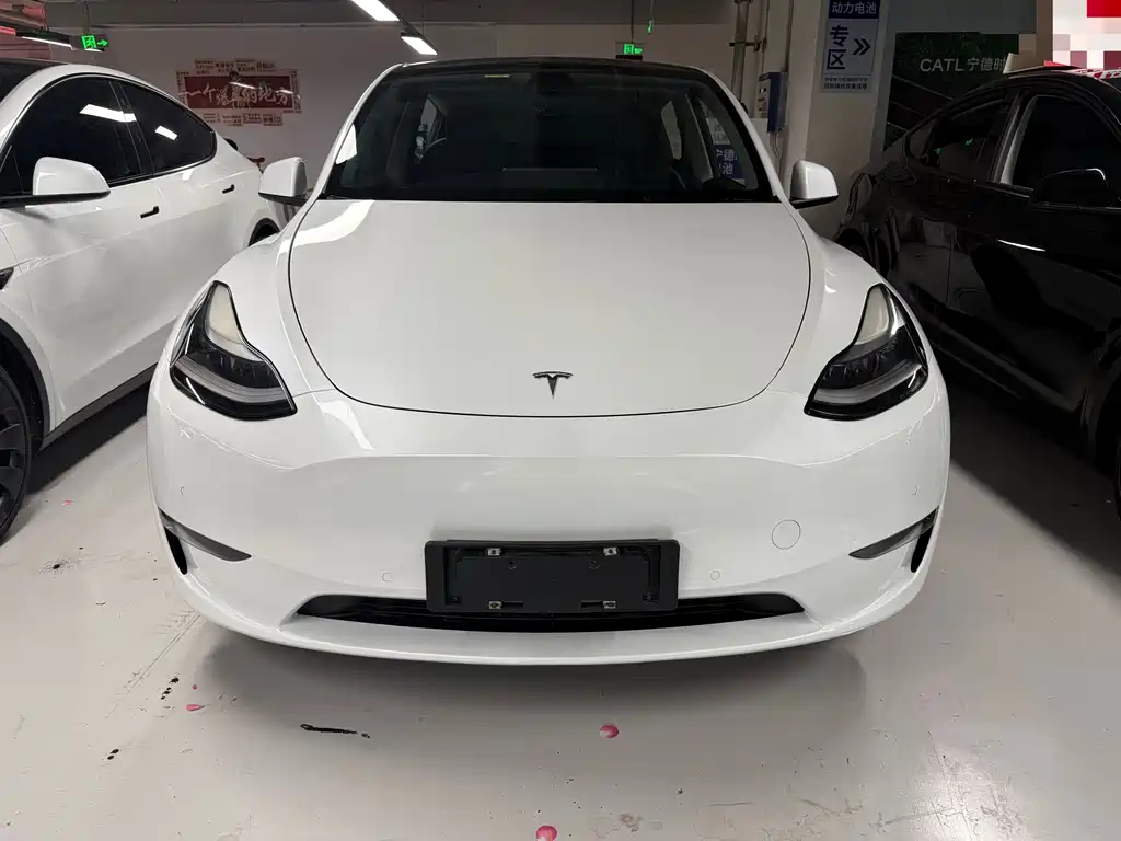 Tesla Model Y 2021 — фото 2