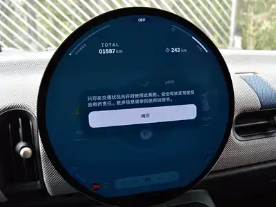 MINI MINI 2025