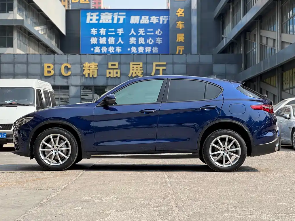 Alfa Romeo Stelvio 2019 — фото 4