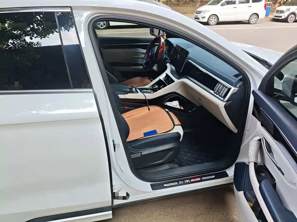 BYD Song PLUS New Energy 2023 — фото 19