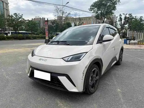 BYD Seagull 2024
