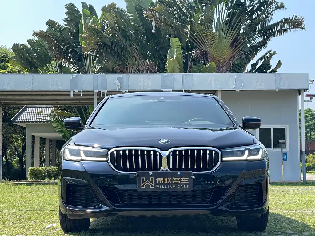 BMW 5 Series 2021