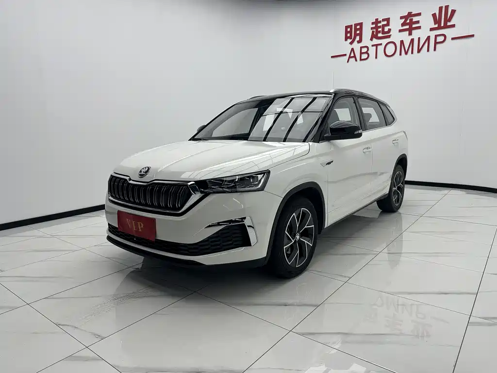 Skoda Kamiq 2022