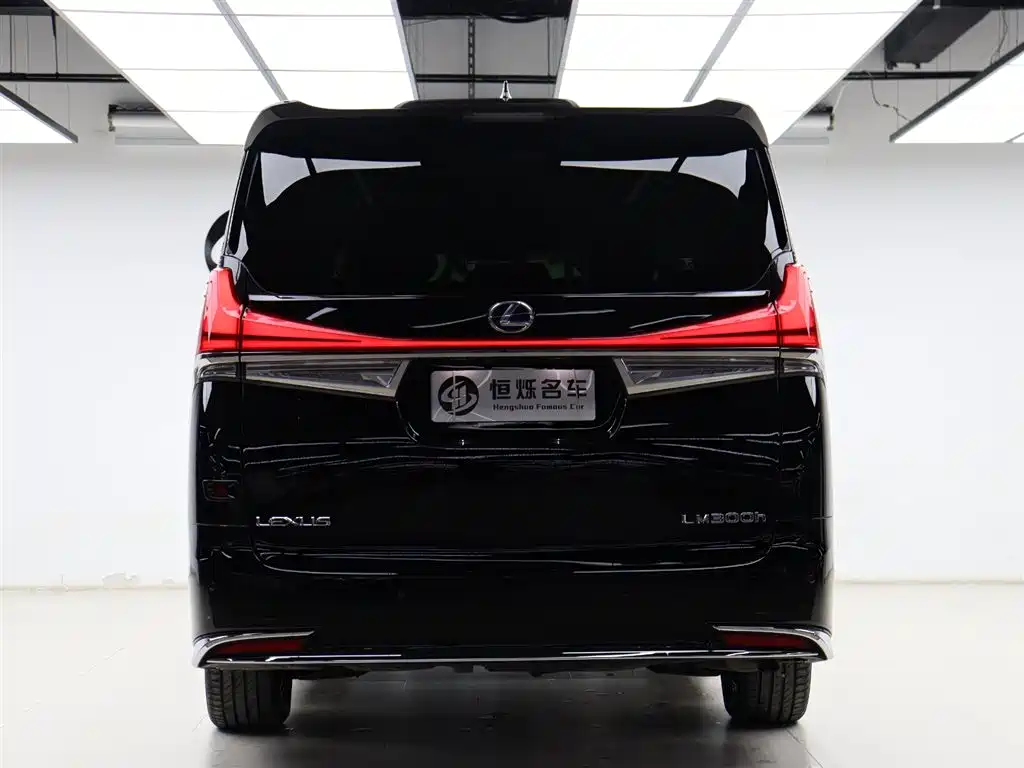 Lexus LM 2022 — фото 29