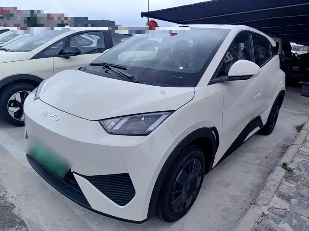 BYD Seagull 2026