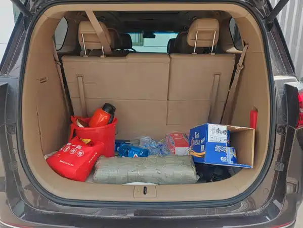 Buick GL8 2020