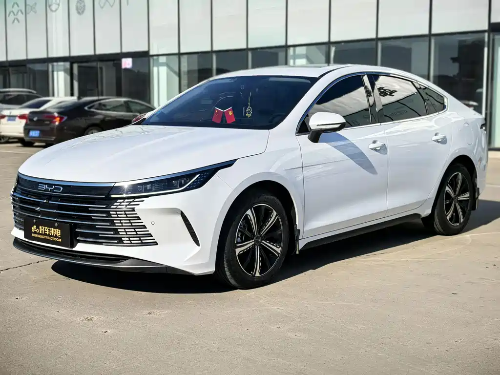BYD Destroyer 05 2023 — фото 1