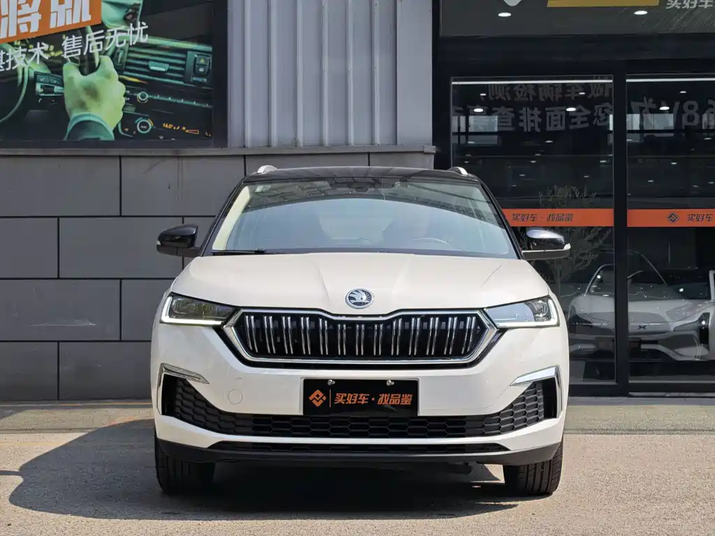 Skoda Kamiq 2020 — фото 10