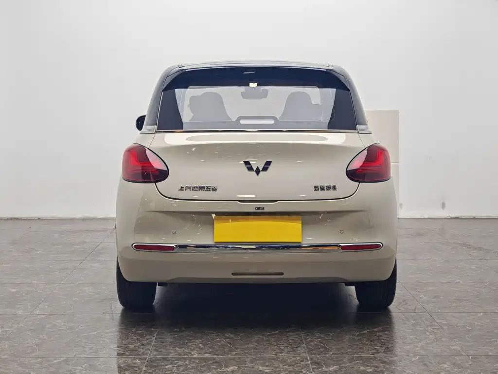 Wuling Bingo 2024