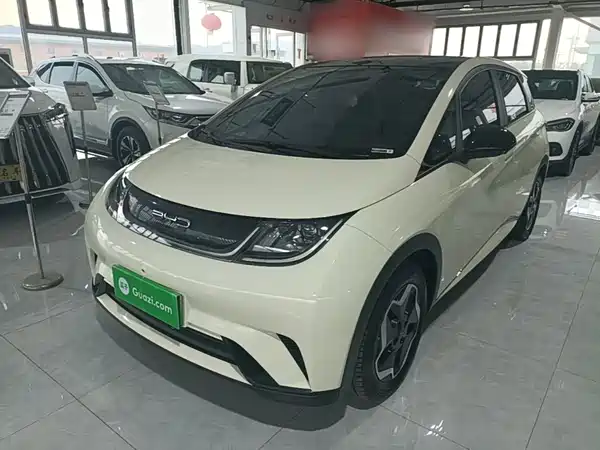 BYD Dolphin 2022