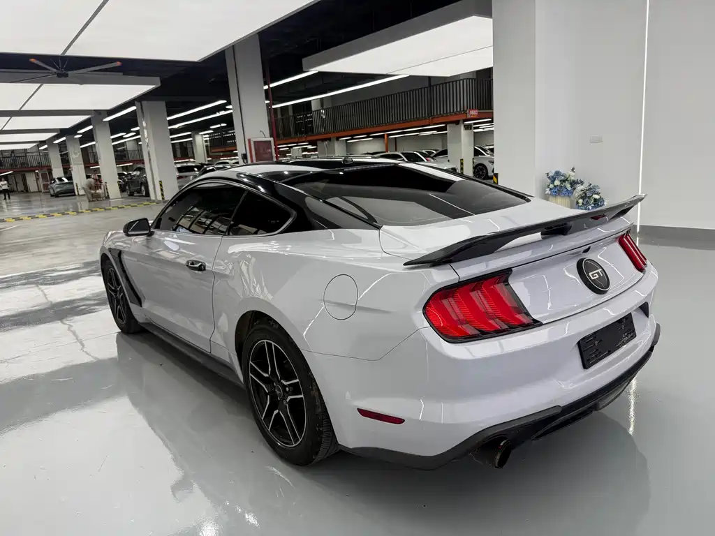 Ford Mustang 2019 — фото 15