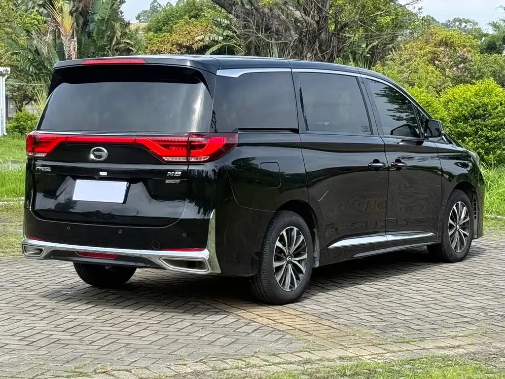 GAC Motor Trumpchi M8 2021 — фото 10
