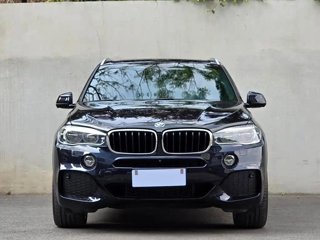 BMW X5 2019 — фото 2