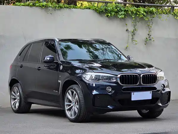 BMW X5 2017