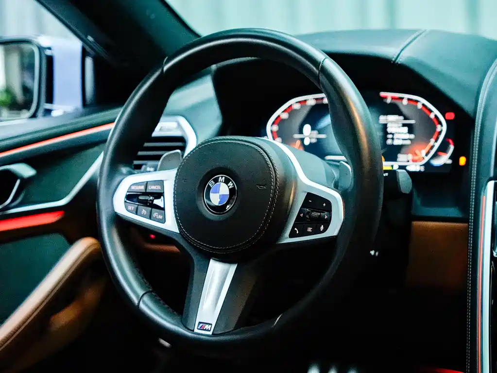 BMW 8 Series 2020 — фото 8