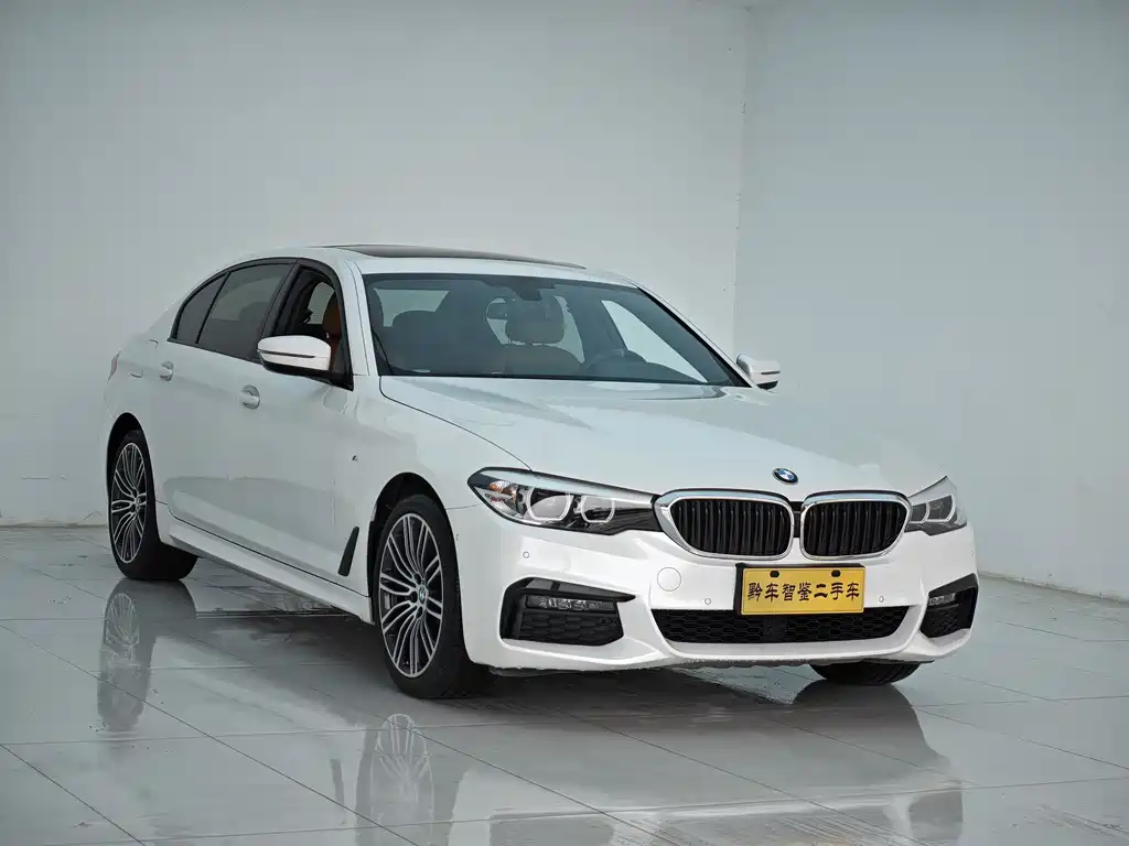 BMW 5 Series 2019 — фото 3