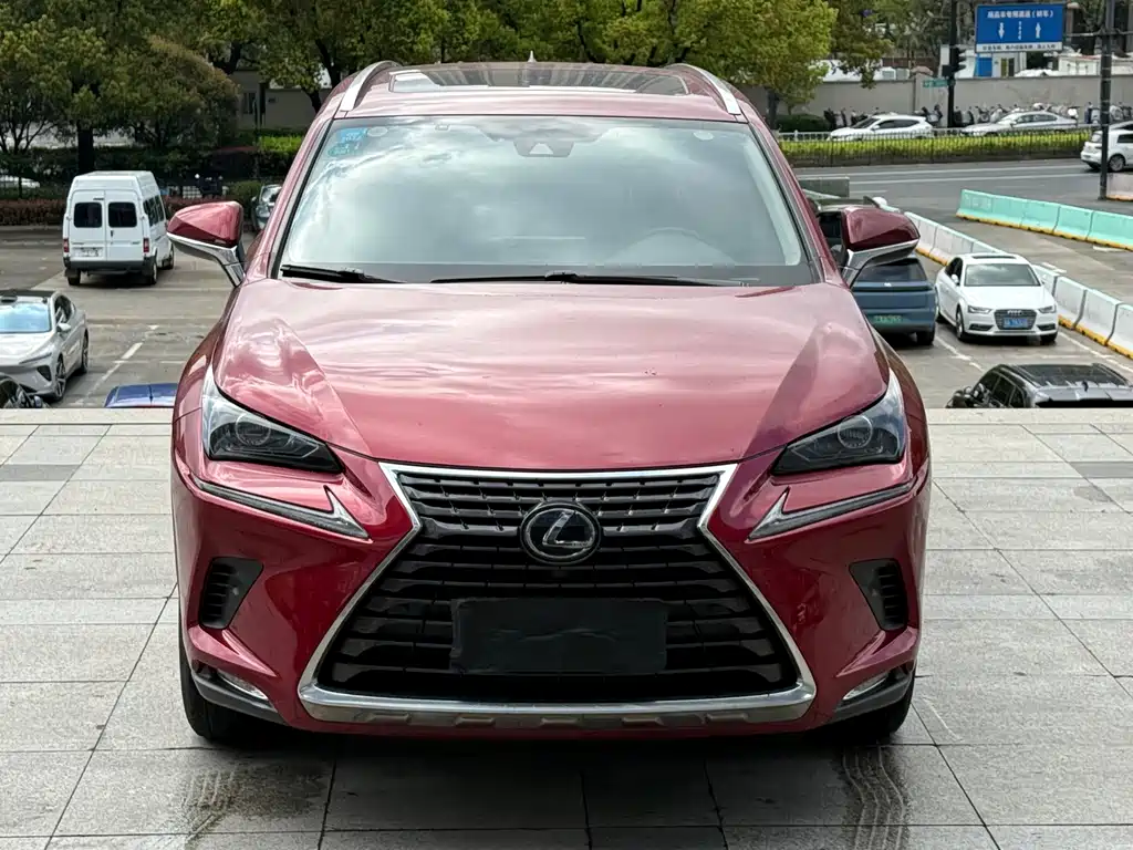 Lexus NX 2020 — фото 2