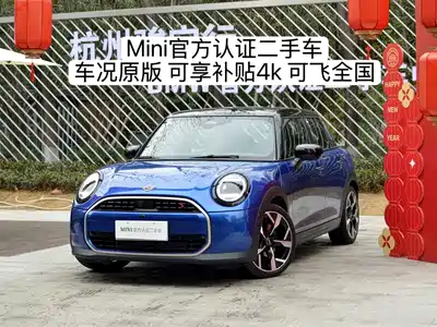 MINI MINI 2025