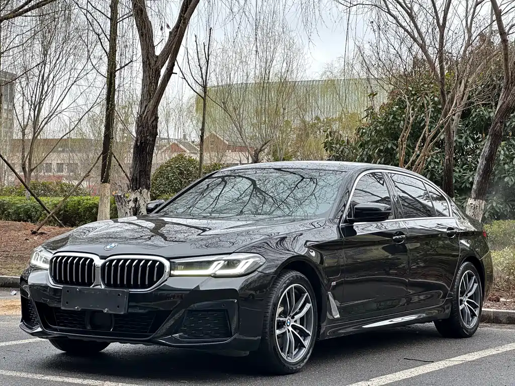 BMW 5 Series New Energy 2021 — фото 1