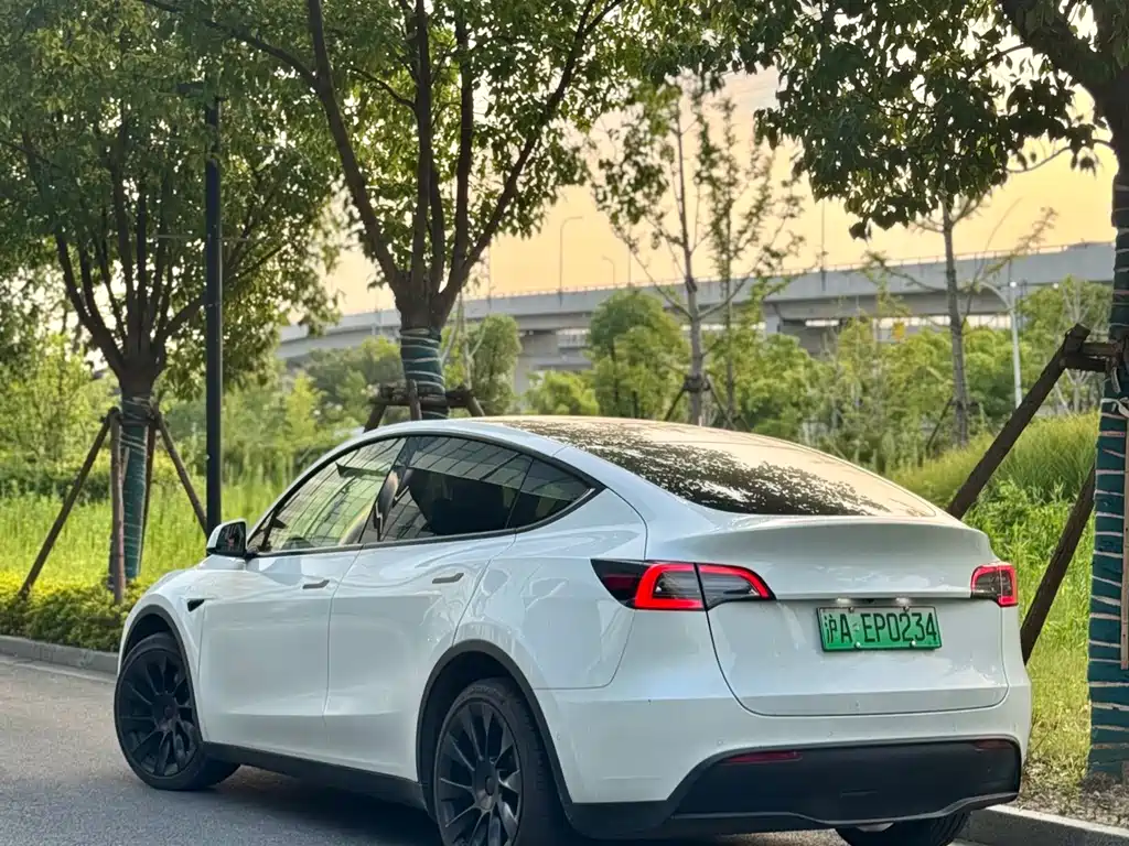 Tesla Model Y 2021 — фото 2