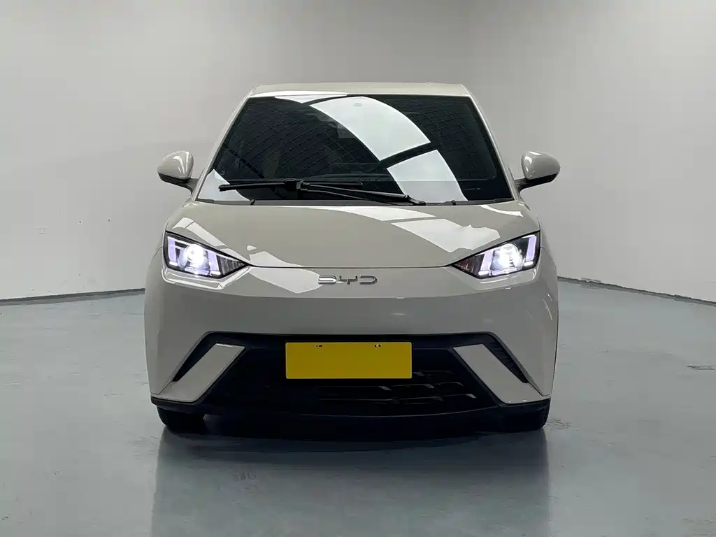 BYD Seagull 2025