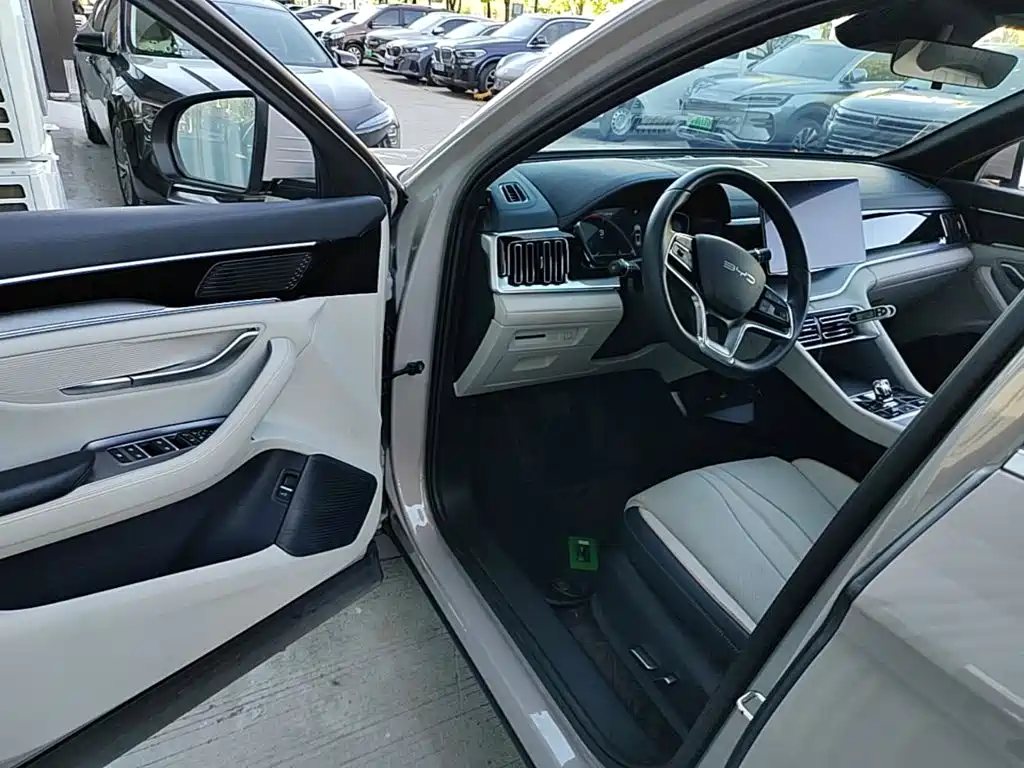 BYD Song PLUS New Energy 2023 — фото 16