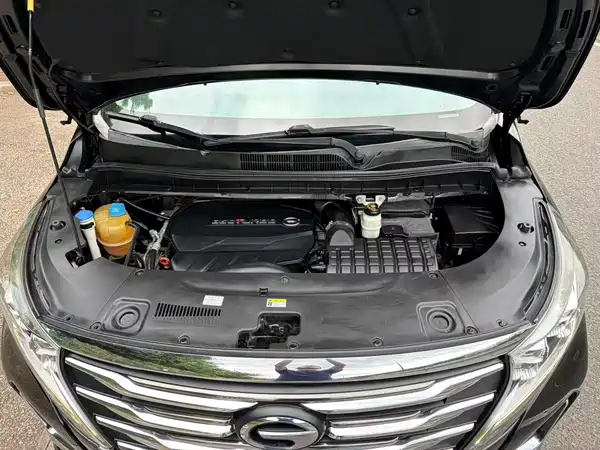 GAC Trumpchi M8 2020
