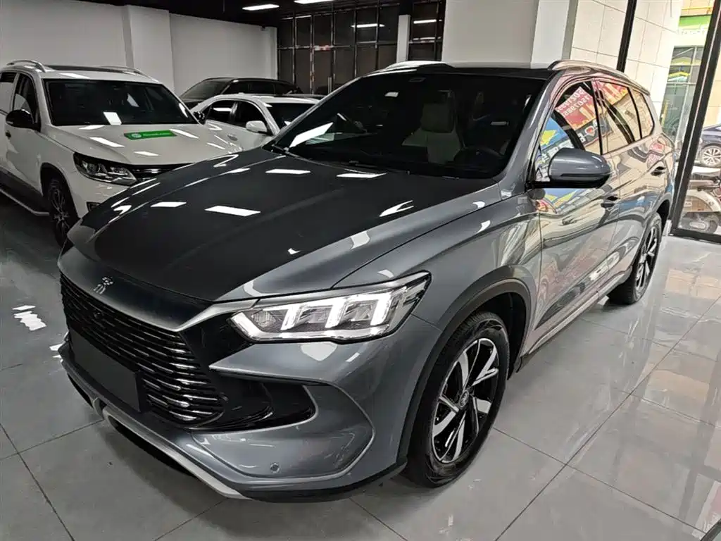 BYD Pro New Energy 2025 — фото 1