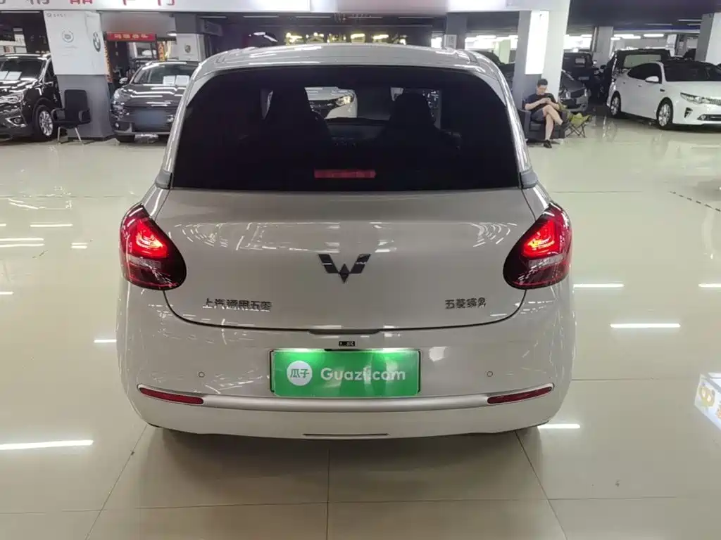 Wuling Bingo 2024