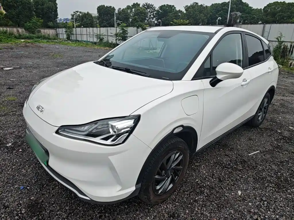 Neta V 2024