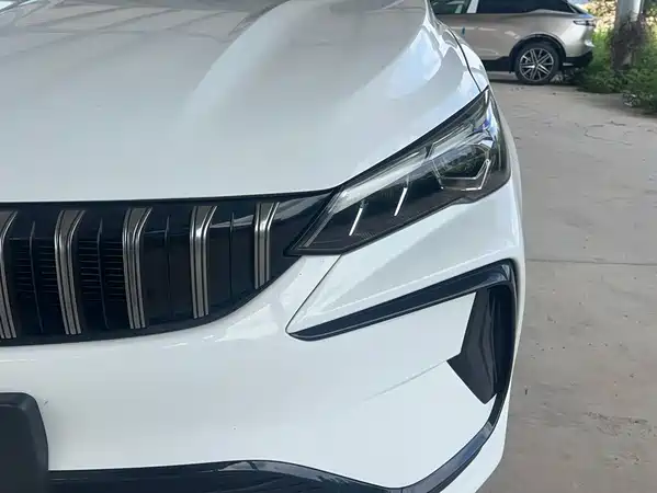 Geely Binrui 2026