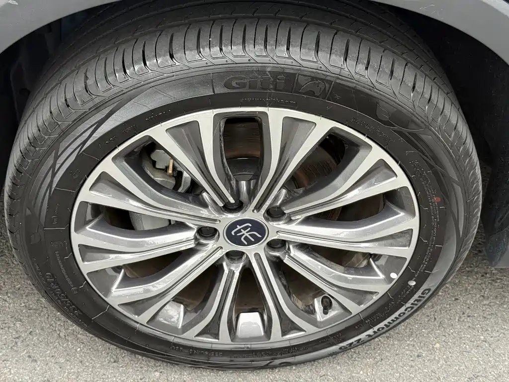BYD Pro New Energy 2025 — фото 3