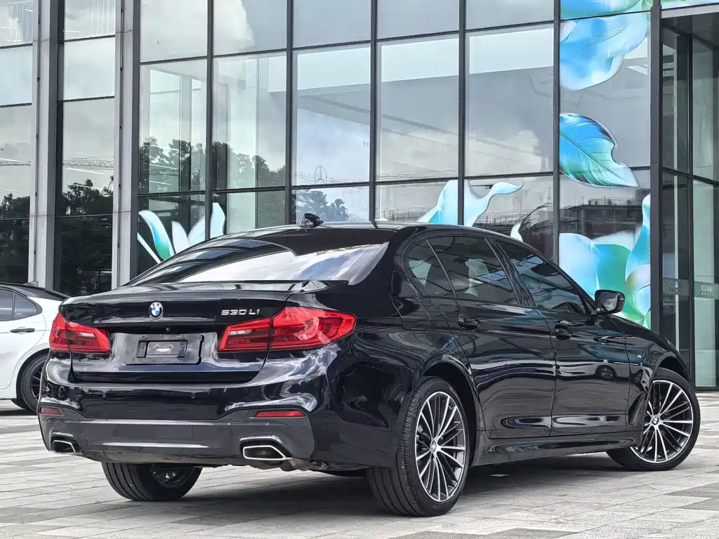 BMW 5 Series 2019