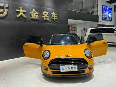 MINI MINI 2014