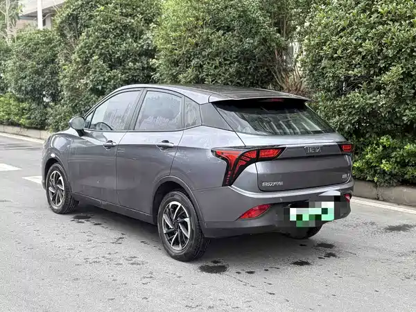 Neta V 2021