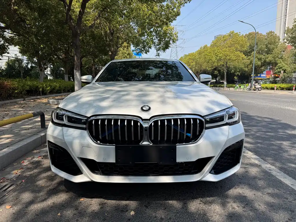 BMW 5 Series 2019 — фото 2