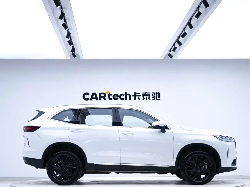 Haval H6 2021 — фото 4