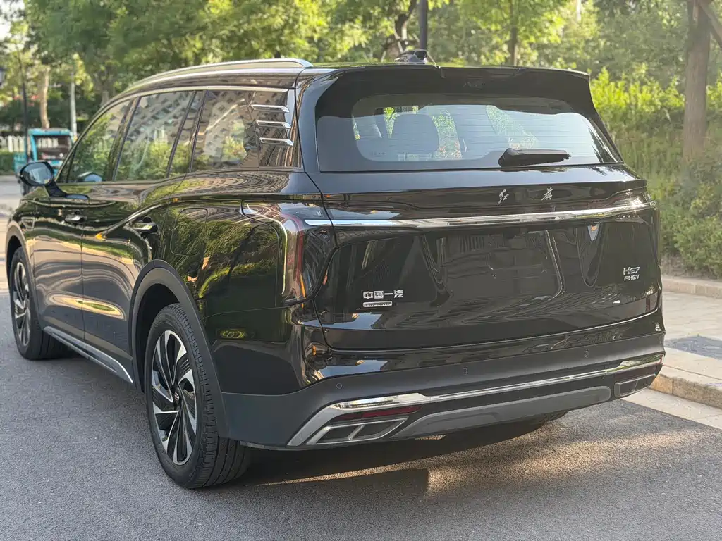 Hongqi HS7 PHEV 2024 — фото 10