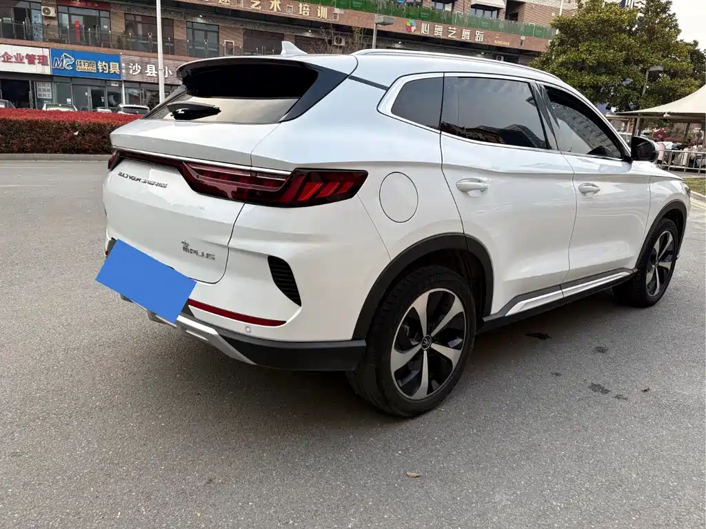 BYD PLUS New Energy 2022 — фото 11