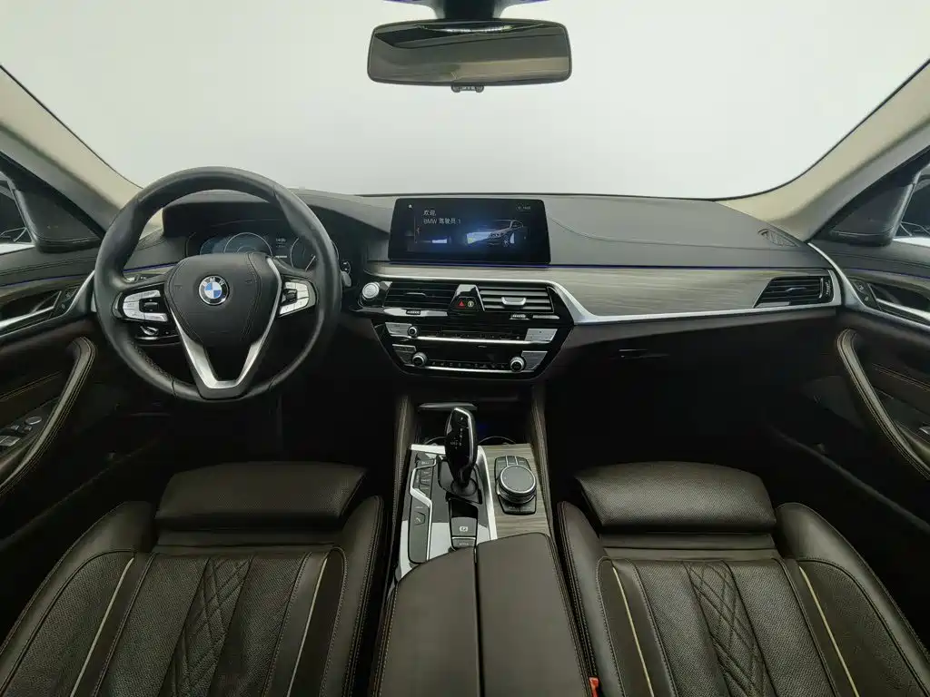 BMW 5 Series New Energy 2019