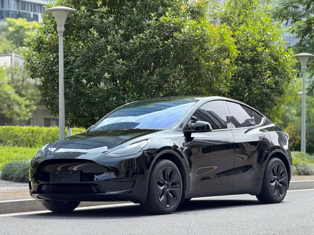 Tesla Model Y 2024 — фото 1
