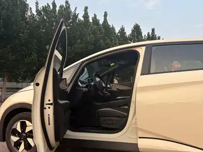 BYD Dolphin 2026