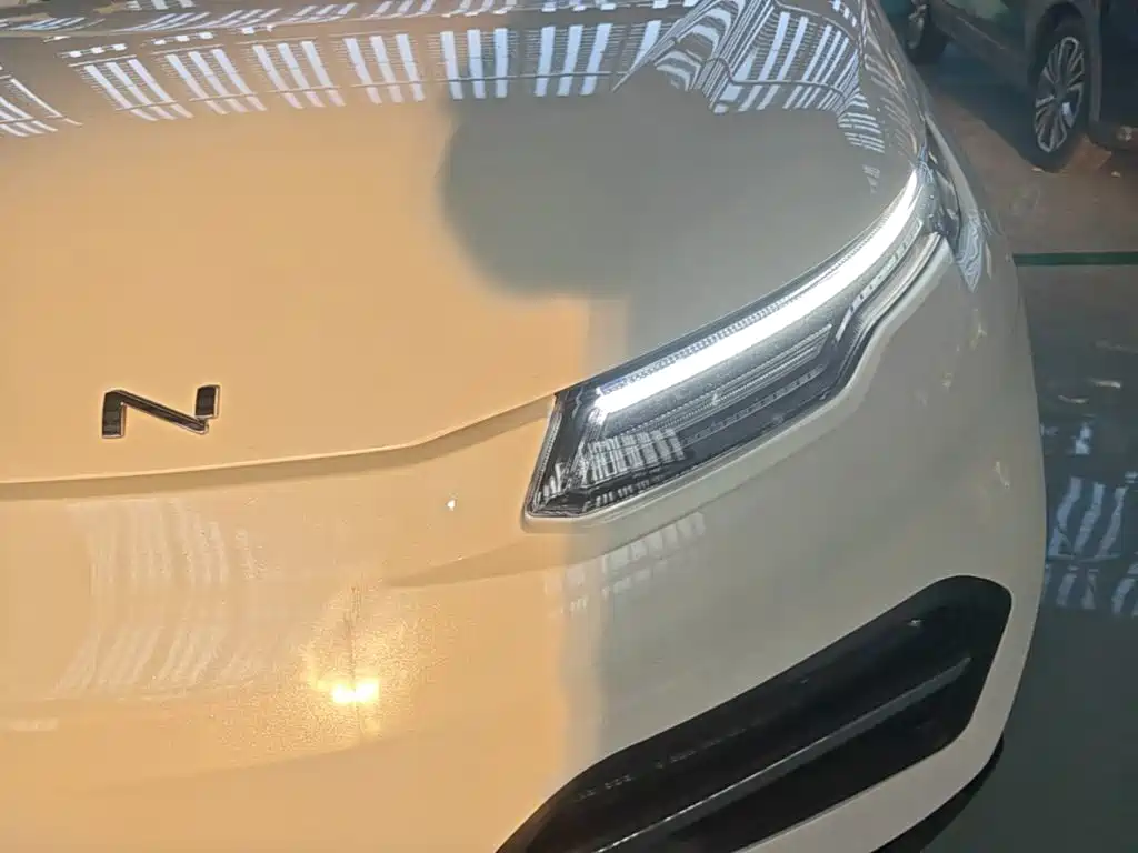 Dayun Yuehu 2022 — фото 24
