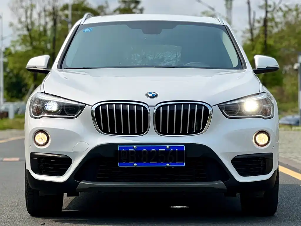 BMW X1 2019 — фото 2