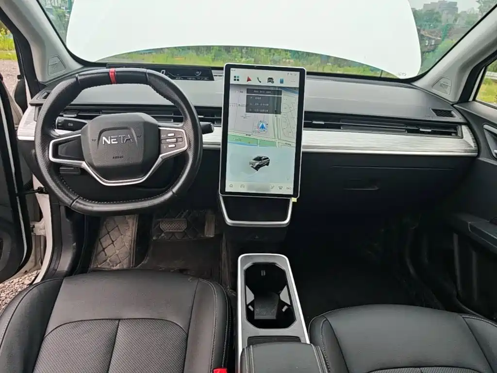Neta V 2024