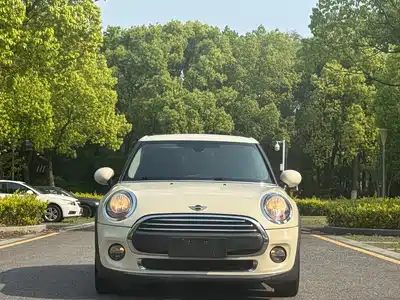 MINI MINI 2015