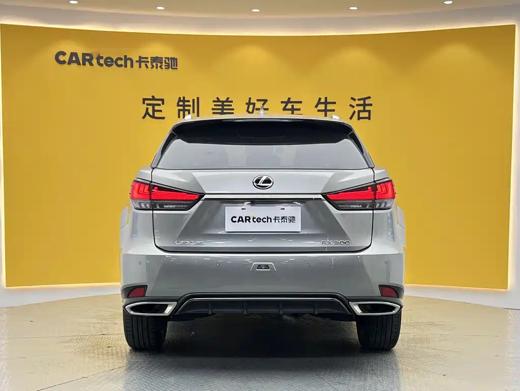 Lexus RX 2020 — фото 29